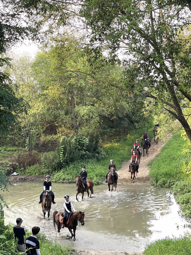 한국마사회, 2024년 유소년 승마캠프 개최…6월 21일까지 신청접수